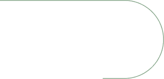 Vector 432